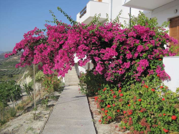 Image No.31-Duplex de 6 chambres à vendre à Iraklion