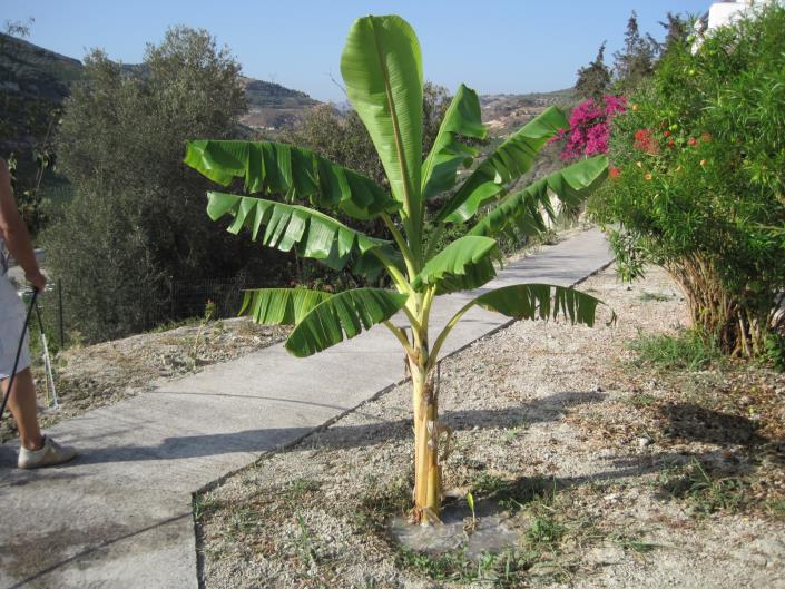 Image No.32-Duplex de 6 chambres à vendre à Iraklion