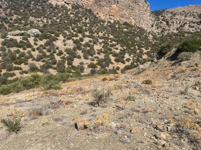 Image No.8-Plot for sale