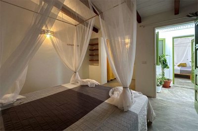 imm369-20250221151329-1280-