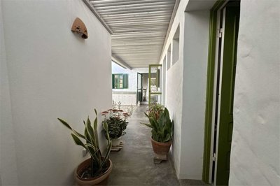 imm354-20250214130955-1280-