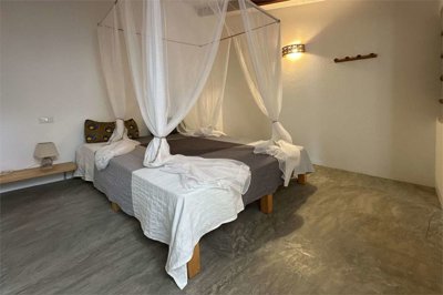 imm370-20250221151424-1280-