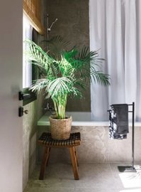 ae518ff7-1e9c-496b-ae9a-8feab069c3da