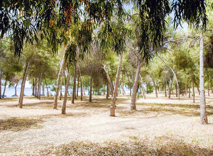 Image No.18-2 Bed Apartment for sale