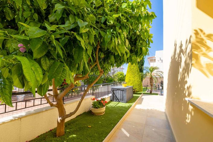 Image No.27-3 Bed House for sale