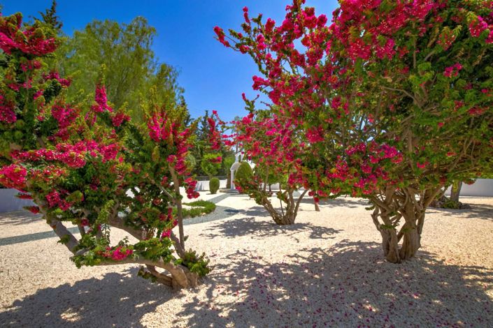 Image No.11-5 Bed Villa for sale