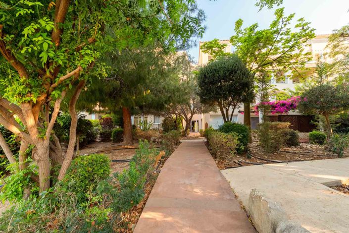 Image No.2-Appartement de 3 chambres à vendre à Universal