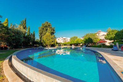 d00996b3-f350-4fa1-b074-d4ac62346014