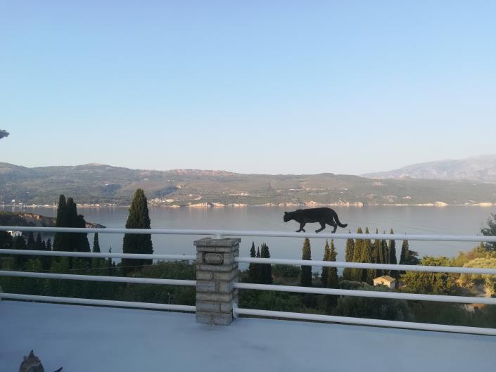 Image No.22-18 Bed Hotel for sale