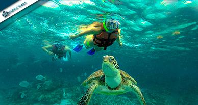 Image No.6-Terre à vendre à Holbox Island