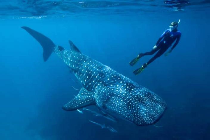 Image No.13-Terre à vendre à Holbox Island