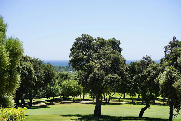 Image No.19-5 Bed Villa for sale