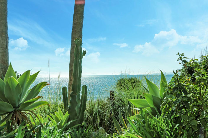 Image No.14-Propriété de 2 chambres à vendre à Estepona