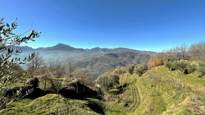 Image No.51-2 Bed Village House for sale