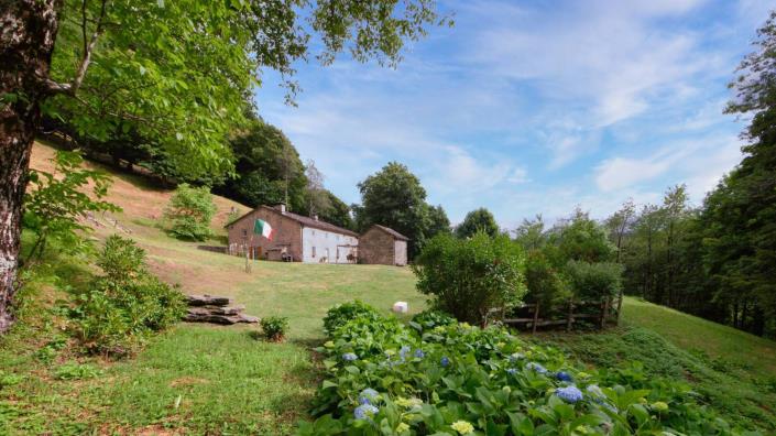 Image No.24-5 Bed Country House for sale