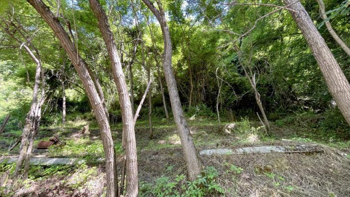 Image No.45-Propriété de pays de 4 chambres à vendre à Bagni di Lucca