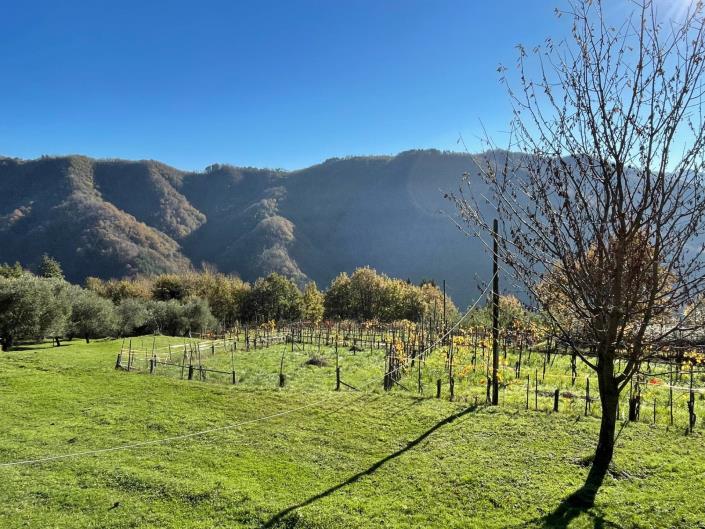 Image No.40-2 Bed Townhouse for sale