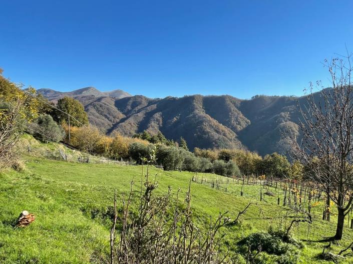 Image No.46-2 Bed Townhouse for sale