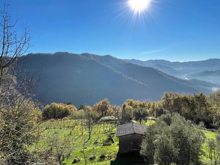 Image No.50-2 Bed Townhouse for sale