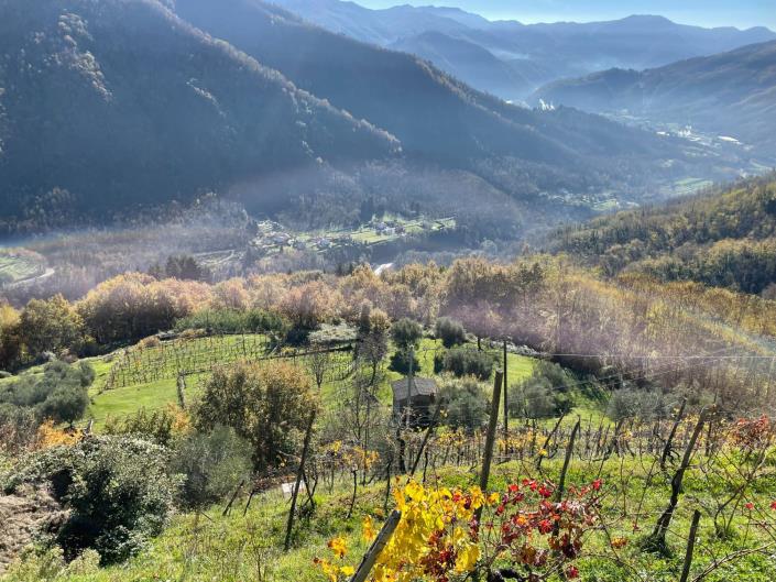 Image No.56-2 Bed Townhouse for sale