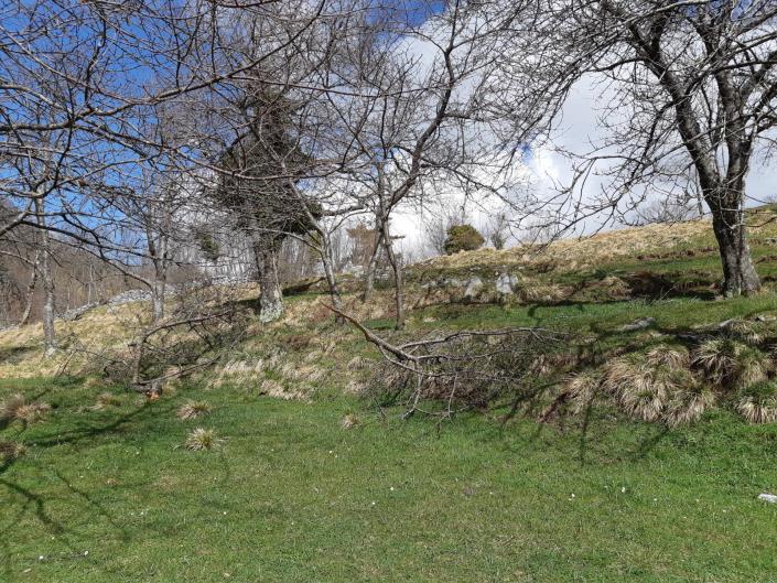 Image No.8-Maison de village de 4 chambres à vendre à Fabbriche Di Vallico