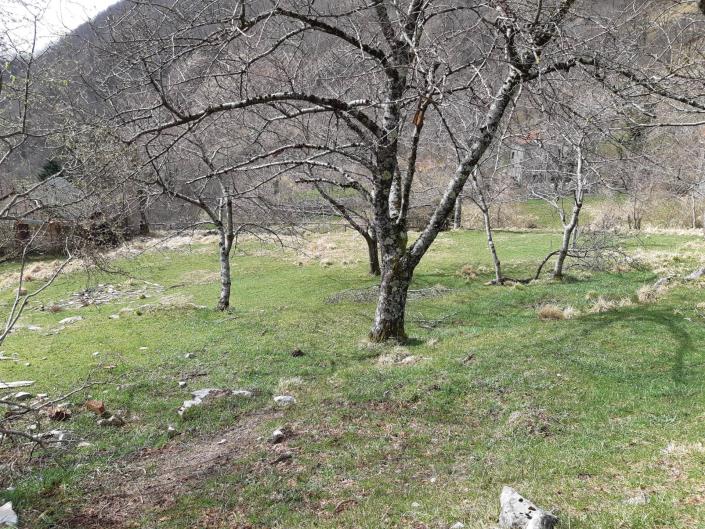 Image No.55-Maison de village de 4 chambres à vendre à Fabbriche Di Vallico
