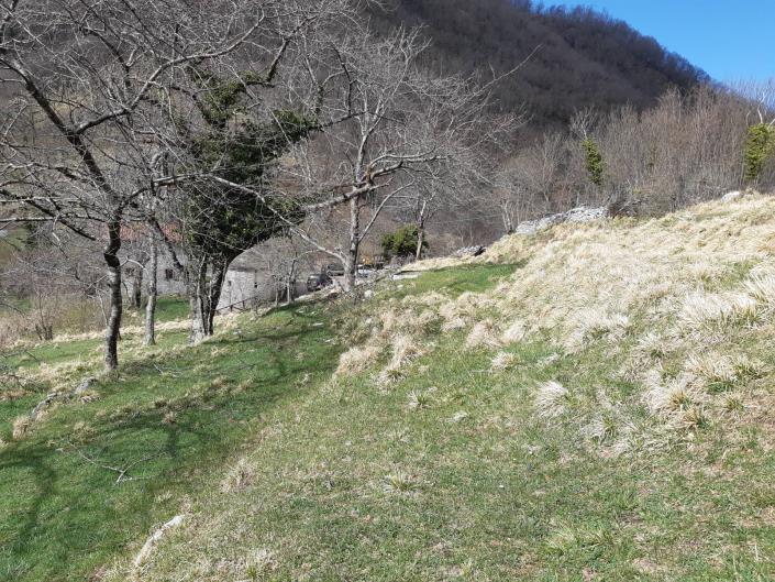 Image No.56-Maison de village de 4 chambres à vendre à Fabbriche Di Vallico