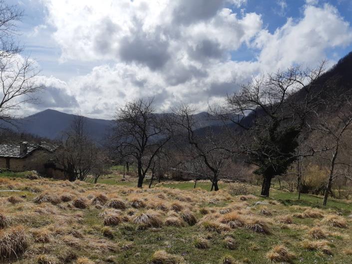Image No.6-Maison de village de 4 chambres à vendre à Fabbriche Di Vallico