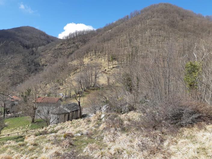 Image No.57-Maison de village de 4 chambres à vendre à Fabbriche Di Vallico