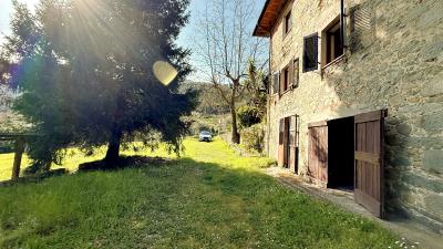 537f4d00-9ed1-4726-8eb7-7c10477bd6fe