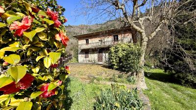 40322376-c27a-4bcb-9f4a-d310643e97ed