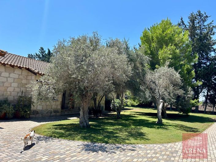 Image No.6-Bungalow de 4 chambres à vendre à Larnaca