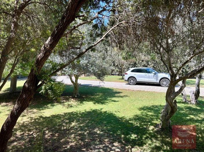 Image No.7-Bungalow de 4 chambres à vendre à Larnaca