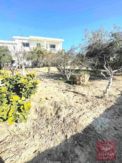 Image No.5-Villa de 5 chambres à vendre à Larnaca