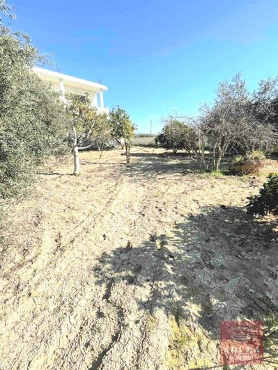 Image No.7-Villa de 5 chambres à vendre à Larnaca