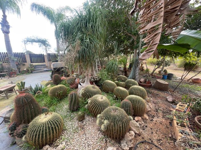 Image No.3-3 Bed Bungalow for sale