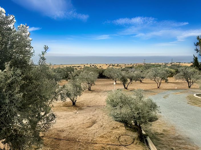 Image No.44-Villa de 4 chambres à vendre à Larnaca