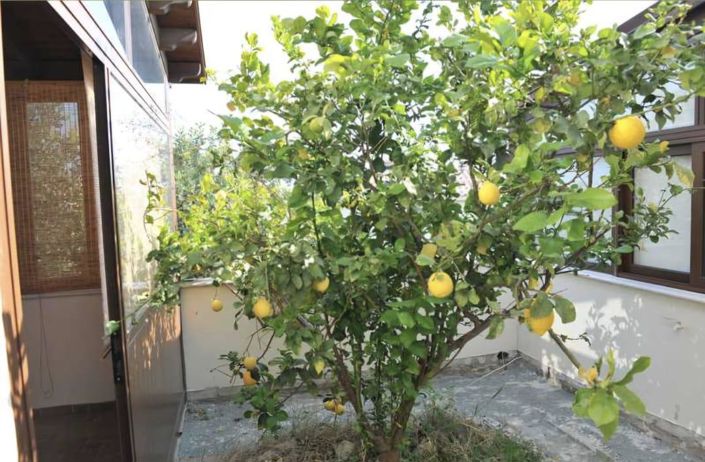 Image No.4-Villa de 4 chambres à vendre à Larnaca