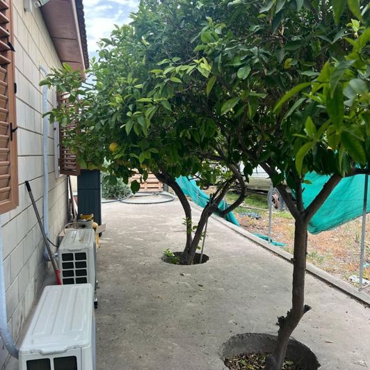 Image No.10-2 Bed Bungalow for sale