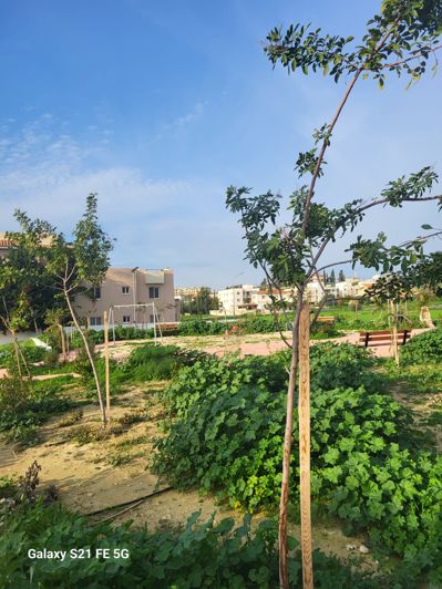 Image No.13-1 Bed Apartment for sale