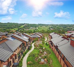 Celebrationimage-green