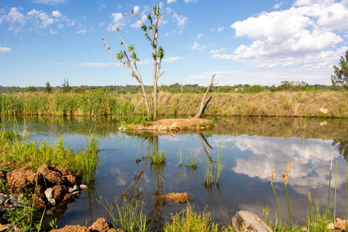 Image No.41-2 Bed House for sale