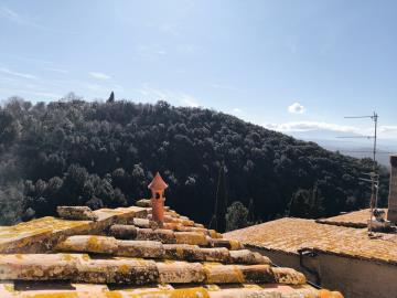 Petroio_Trequanda_Townhouse_for_sale--29-