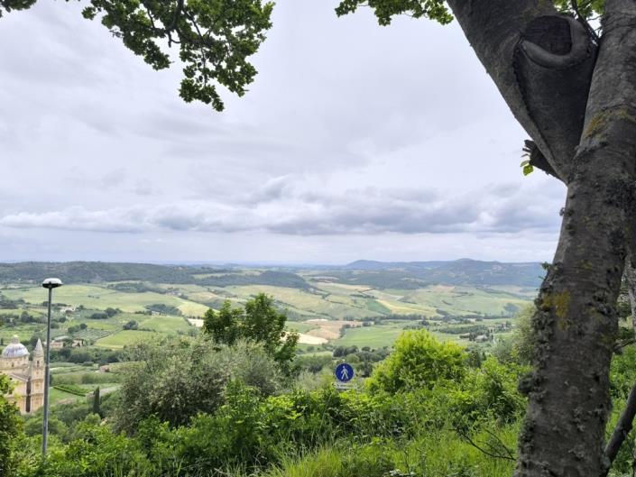 Image No.17-Maison de 3 chambres à vendre à Montepulciano