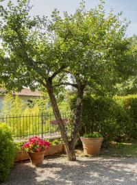 Montefollonico_2_bedrooms_apartment_for_sale_with_garden--14---FILEminimizer-