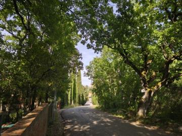 Appartament_For_Sale--15-