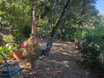 IMG_20250708_094737--FILEminimizer-