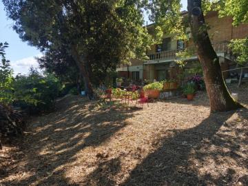 IMG_20250708_095029--FILEminimizer-