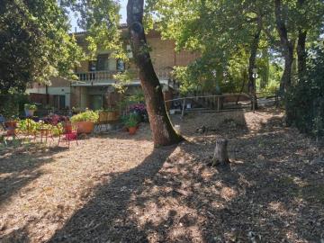 IMG_20250708_095032--FILEminimizer-