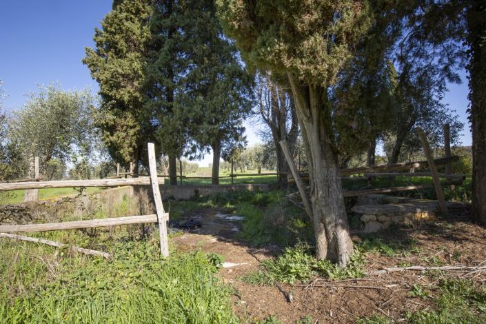 Image No.7-8 Bed Farmhouse for sale